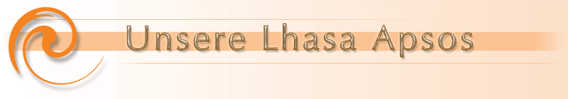 Lhasa Apso Hunde Lhasa Apso Hunde